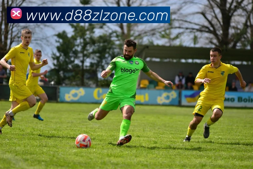 d88尊龙APP 封面图